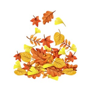 Fall Yard Waste Drop Off